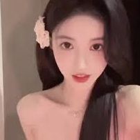 精选呈现套件